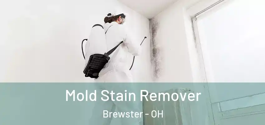 Mold Stain Remover Brewster - OH