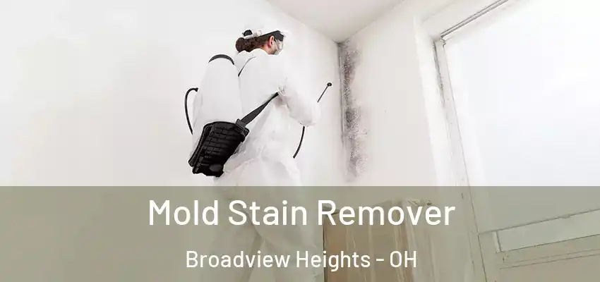 Mold Stain Remover Broadview Heights - OH