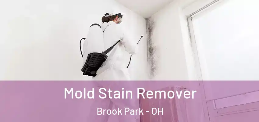 Mold Stain Remover Brook Park - OH