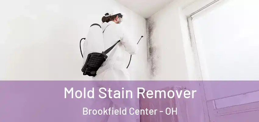  Mold Stain Remover Brookfield Center - OH
