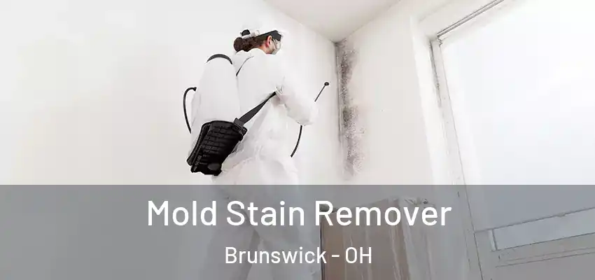 Mold Stain Remover Brunswick - OH