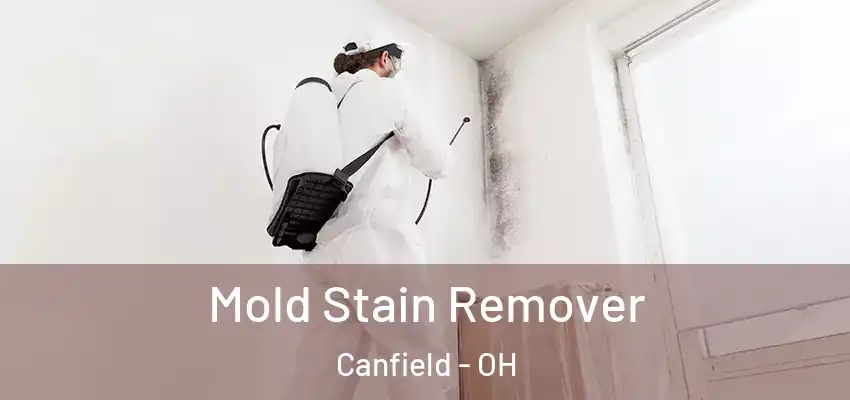 Mold Stain Remover Canfield - OH