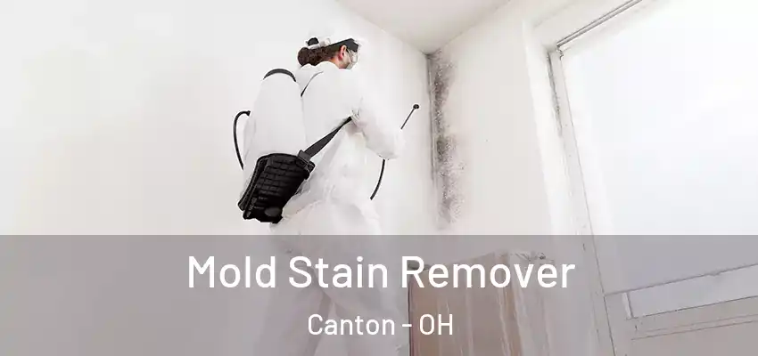 Mold Stain Remover Canton - OH