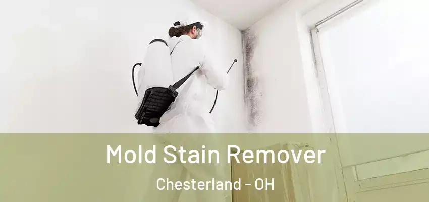 Mold Stain Remover Chesterland - OH