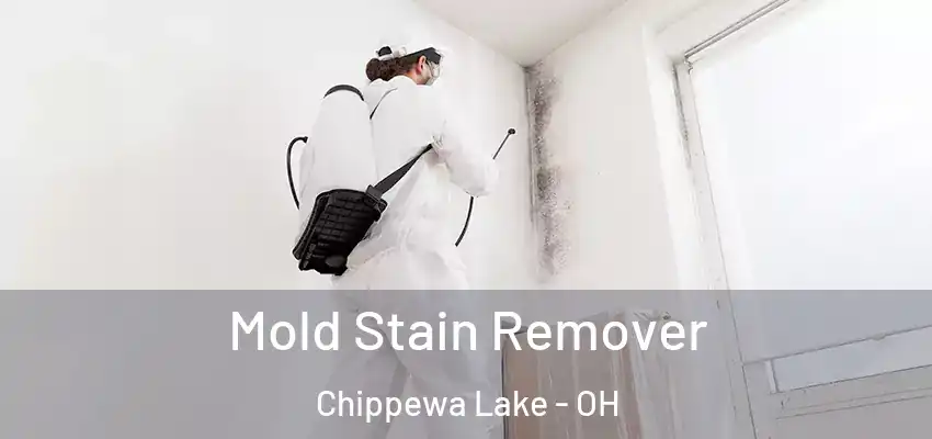 Mold Stain Remover Chippewa Lake - OH
