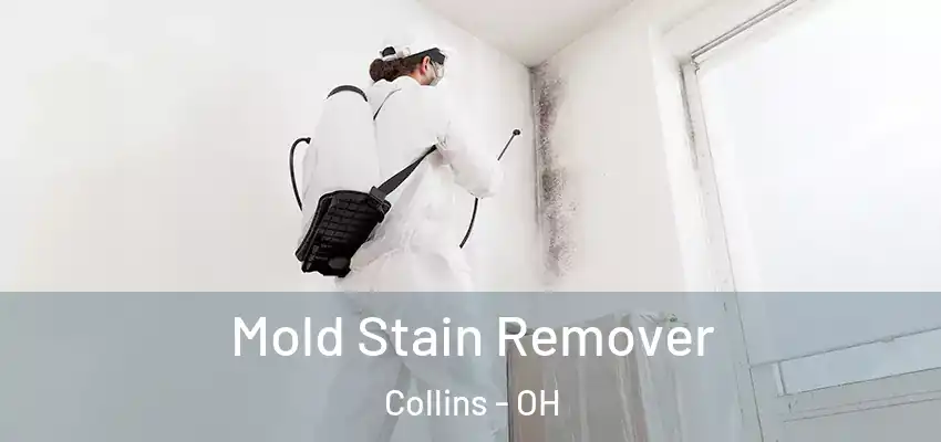 Mold Stain Remover Collins - OH