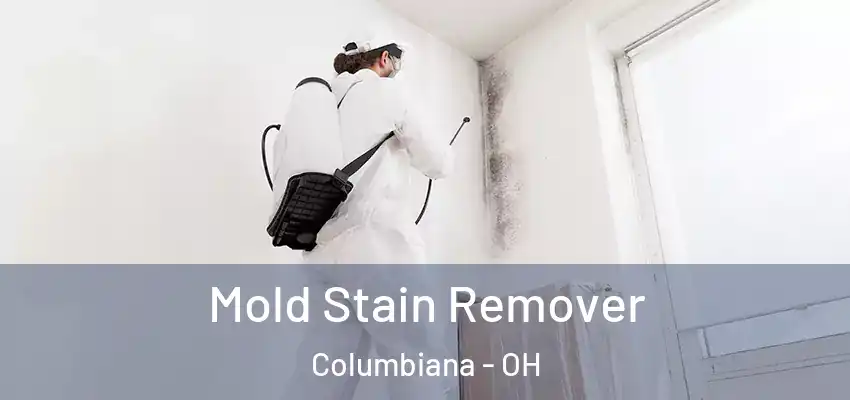  Mold Stain Remover Columbiana - OH