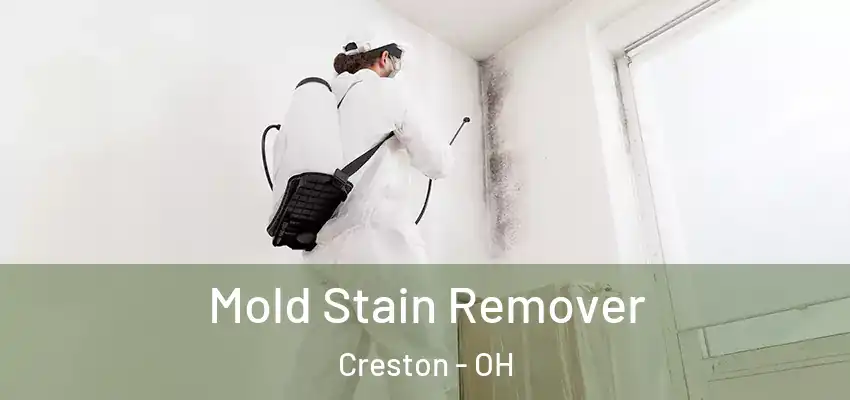 Mold Stain Remover Creston - OH