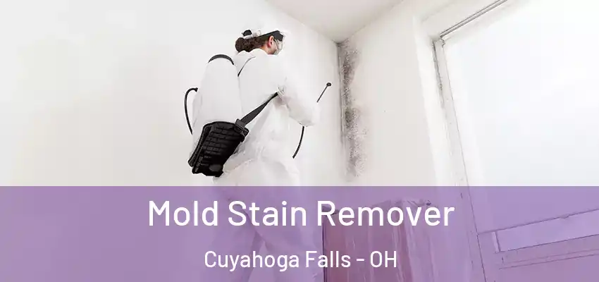 Mold Stain Remover Cuyahoga Falls - OH