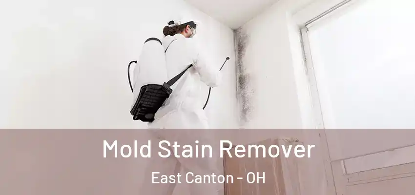  Mold Stain Remover East Canton - OH