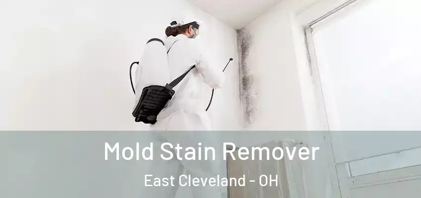  Mold Stain Remover East Cleveland - OH