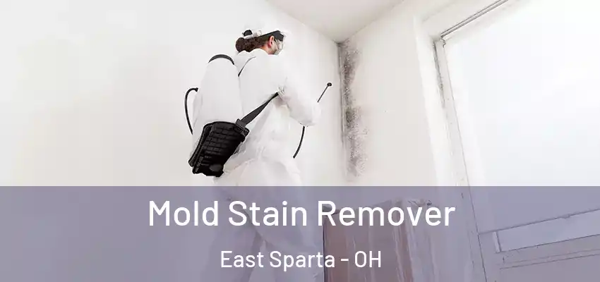 Mold Stain Remover East Sparta - OH