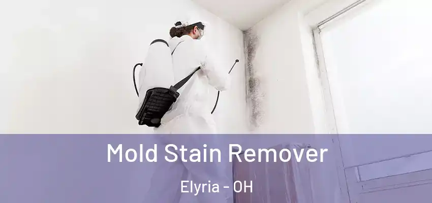 Mold Stain Remover Elyria - OH