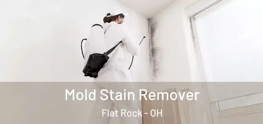 Mold Stain Remover Flat Rock - OH