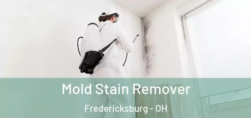  Mold Stain Remover Fredericksburg - OH