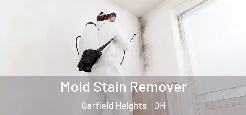 Mold Stain Remover Garfield Heights - OH