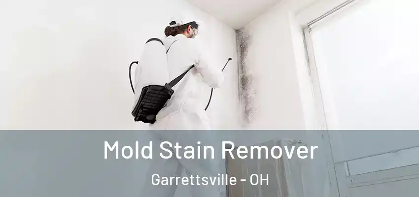  Mold Stain Remover Garrettsville - OH