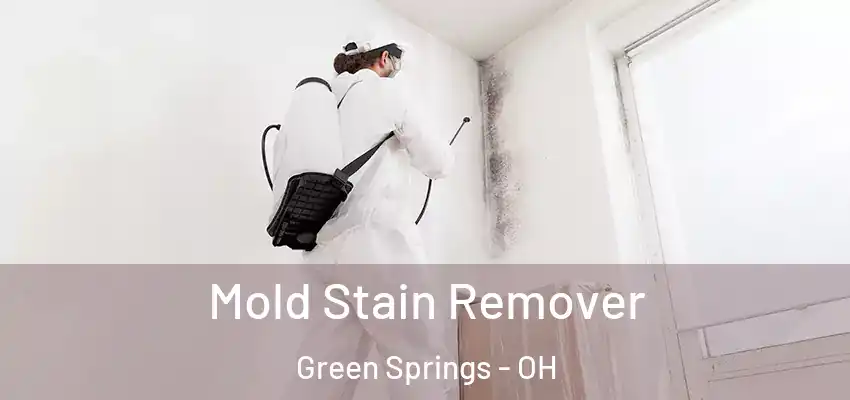  Mold Stain Remover Green Springs - OH