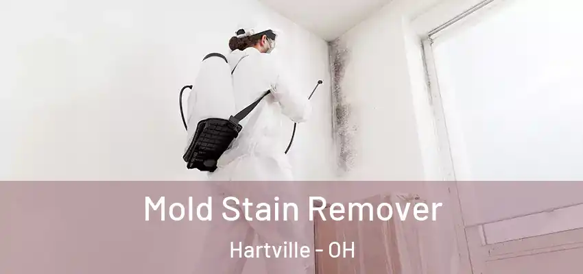 Mold Stain Remover Hartville - OH
