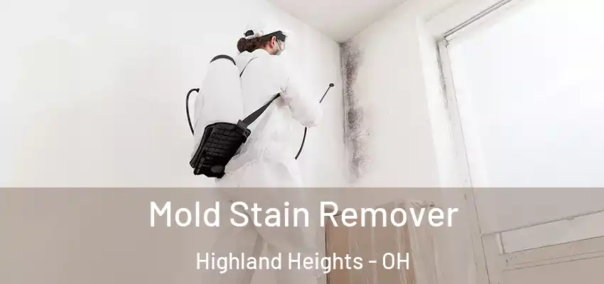  Mold Stain Remover Highland Heights - OH
