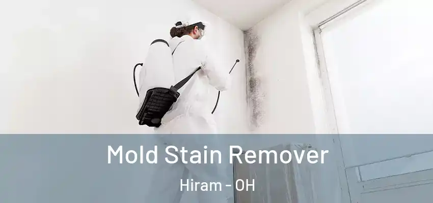 Mold Stain Remover Hiram - OH