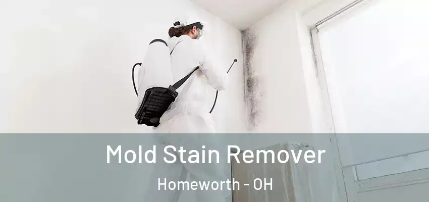 Mold Stain Remover Homeworth - OH