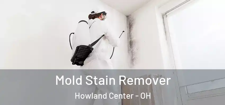Mold Stain Remover Howland Center - OH