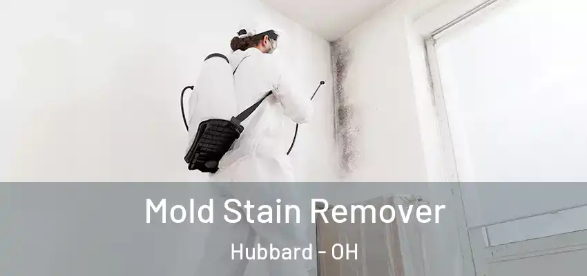 Mold Stain Remover Hubbard - OH