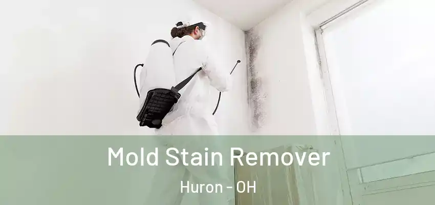 Mold Stain Remover Huron - OH