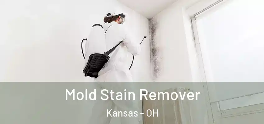  Mold Stain Remover Kansas - OH