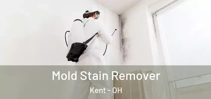 Mold Stain Remover Kent - OH
