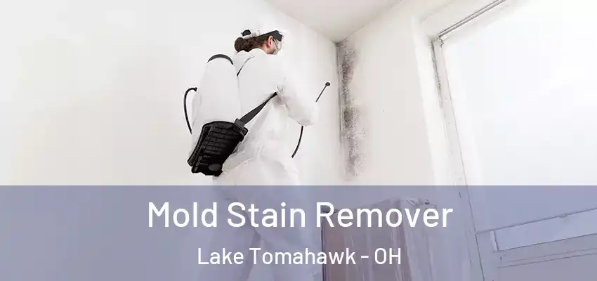 Mold Stain Remover Lake Tomahawk - OH
