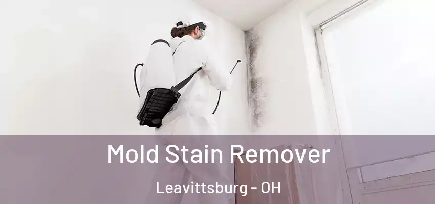 Mold Stain Remover Leavittsburg - OH