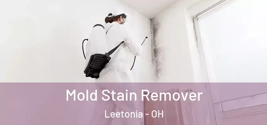  Mold Stain Remover Leetonia - OH