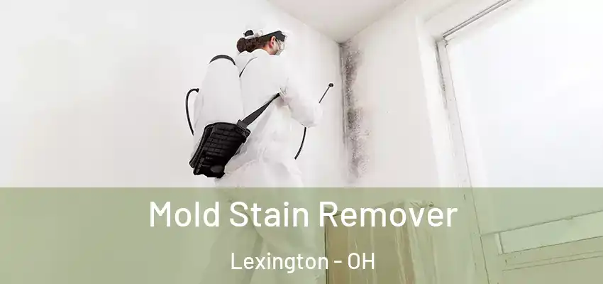 Mold Stain Remover Lexington - OH