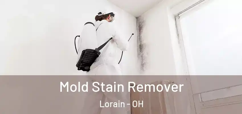 Mold Stain Remover Lorain - OH