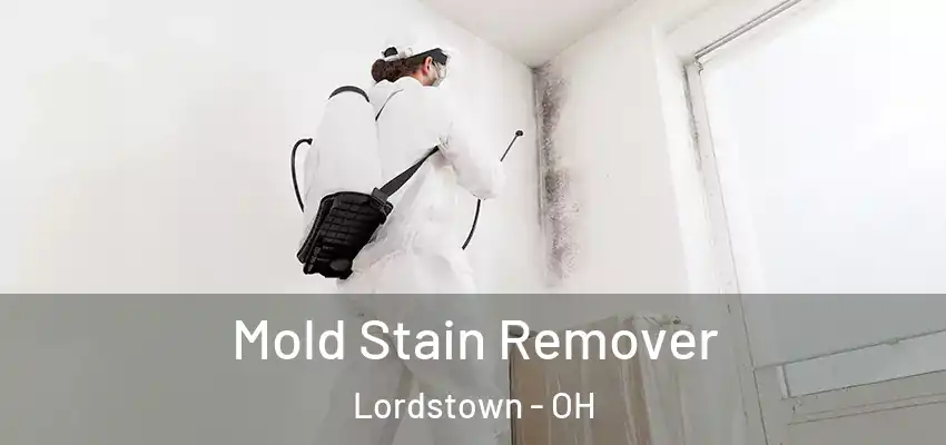 Mold Stain Remover Lordstown - OH