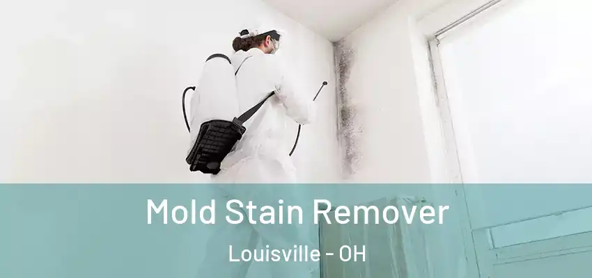 Mold Stain Remover Louisville - OH