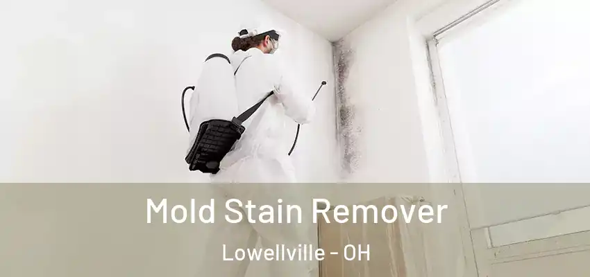  Mold Stain Remover Lowellville - OH
