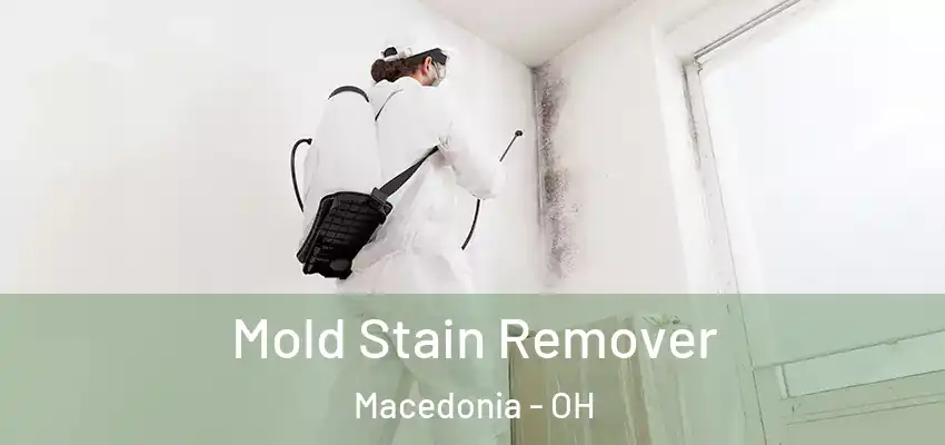 Mold Stain Remover Macedonia - OH