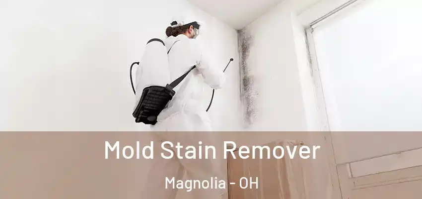  Mold Stain Remover Magnolia - OH