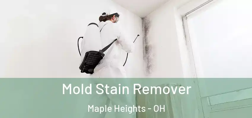  Mold Stain Remover Maple Heights - OH