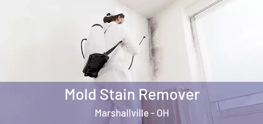 Mold Stain Remover Marshallville - OH