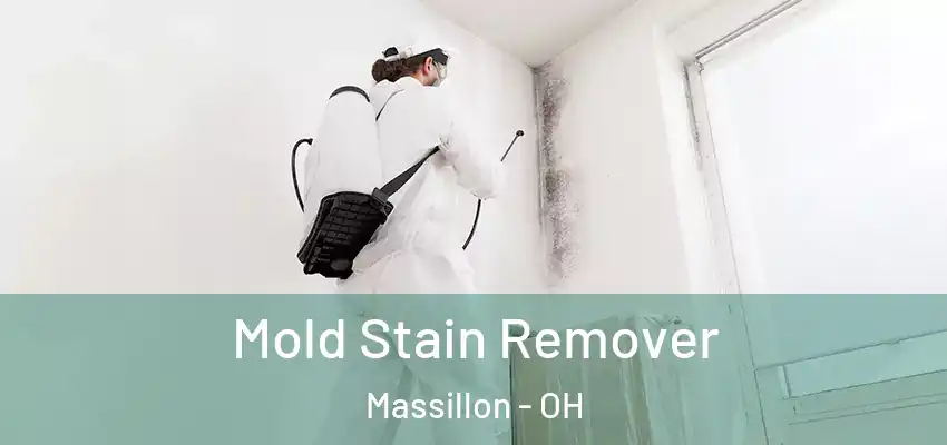  Mold Stain Remover Massillon - OH