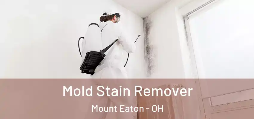 Mold Stain Remover Mount Eaton - OH