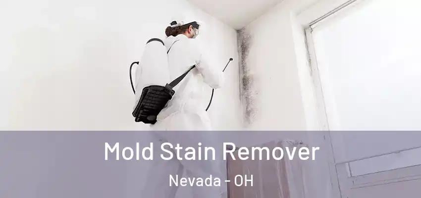  Mold Stain Remover Nevada - OH