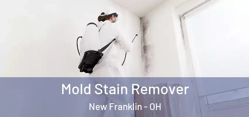 Mold Stain Remover New Franklin - OH