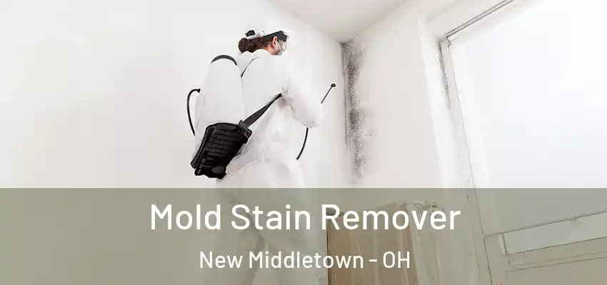 Mold Stain Remover New Middletown - OH