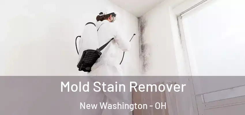 Mold Stain Remover New Washington - OH