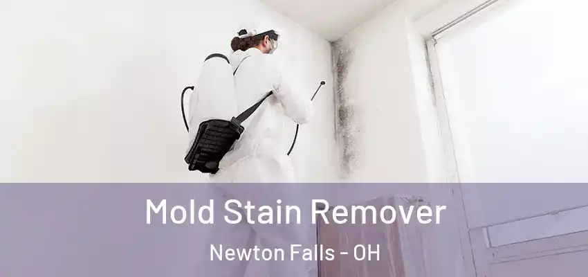 Mold Stain Remover Newton Falls - OH